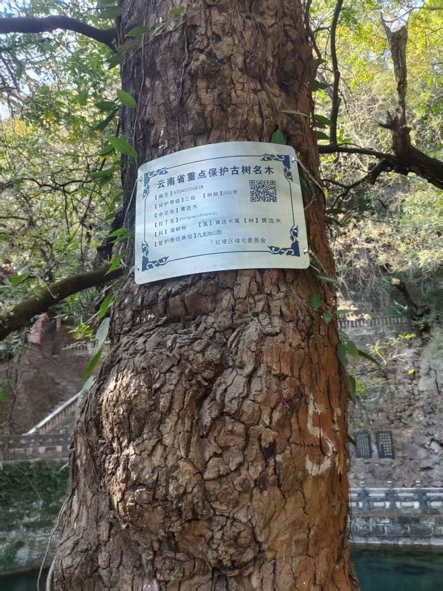 古戏台旅行图片 4