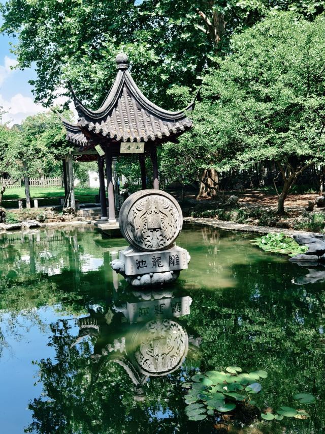 南山风景区旅行图片 1