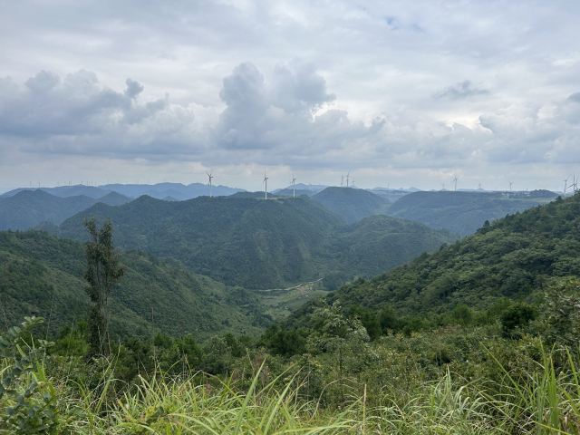 龙里油画大草原旅行图片 2