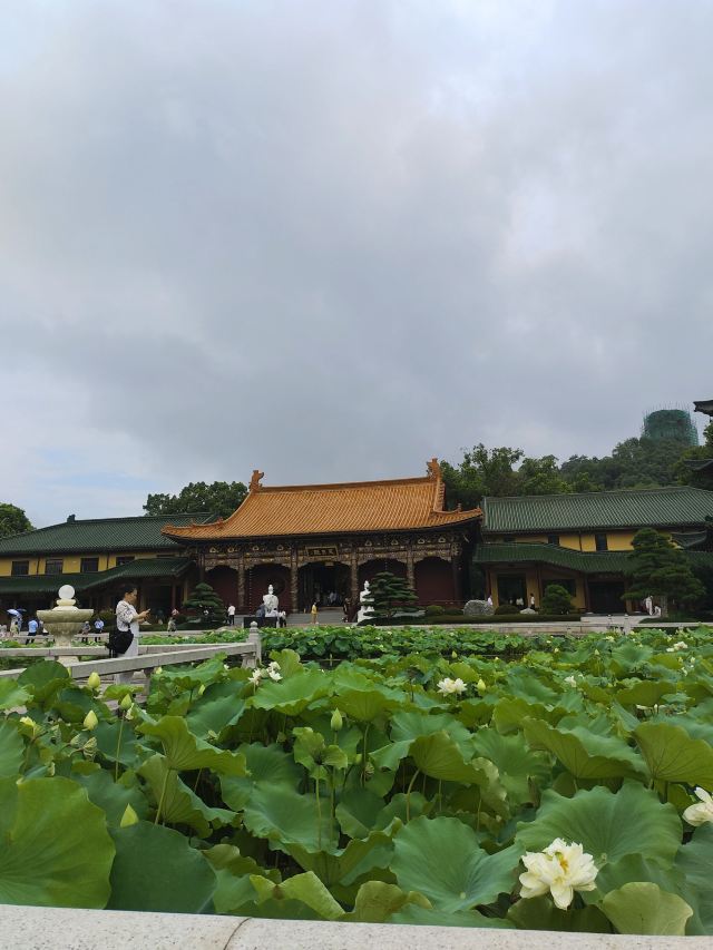 东林寺旅行图片 2