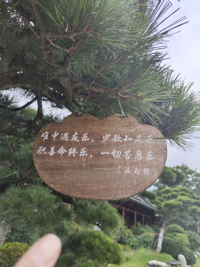 东林寺旅行图片 5