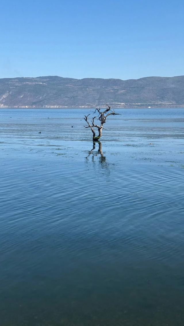 蟠溪村S湾旅行图片 2