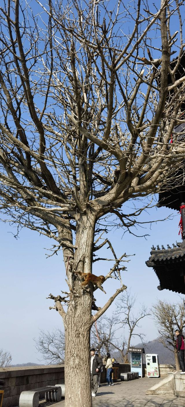 花果山风景区旅行图片 6