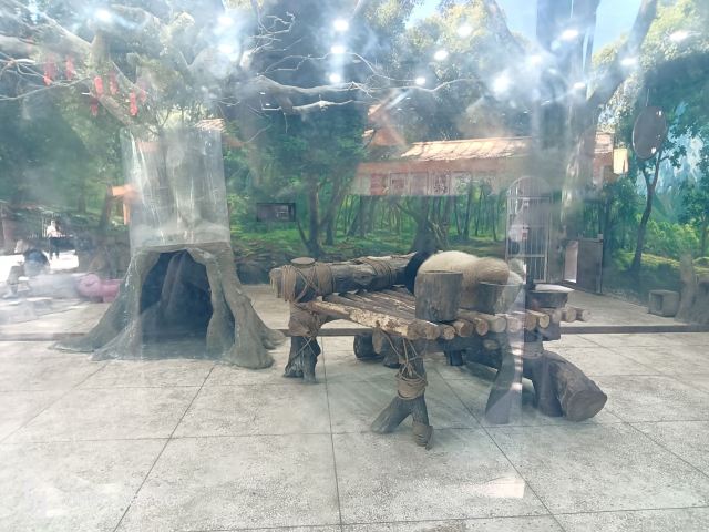 重庆动物园旅行图片 1