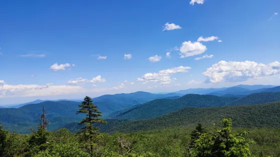 媽媽頂原始森林景區