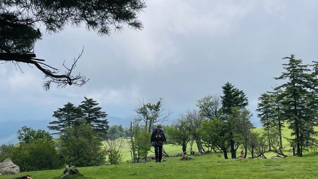 老秃顶草原景区(暂停开放)旅行图片 2