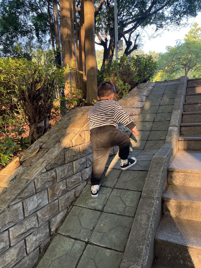 尖岗山公园旅行图片 3
