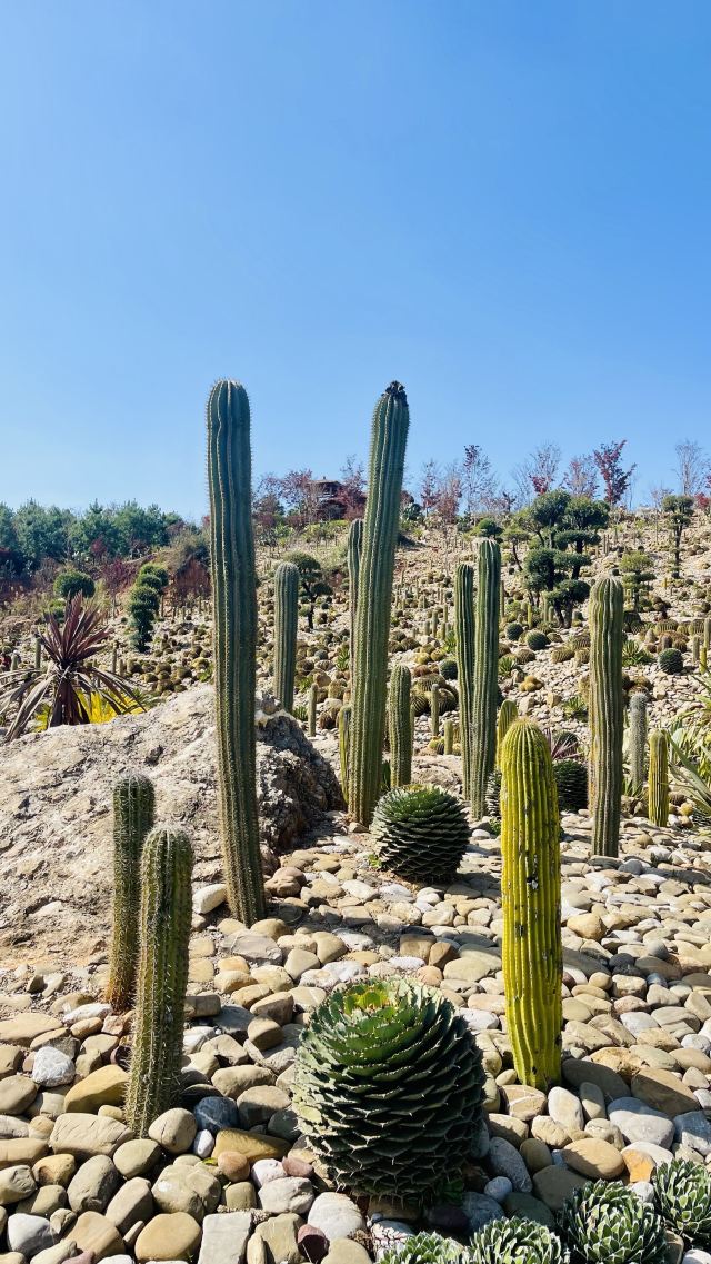 太平湖森林公园旅行图片 1