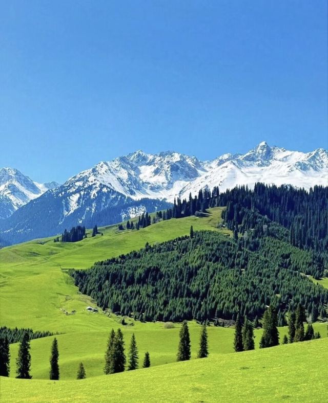 恰西草原风景旅游区旅行图片 1