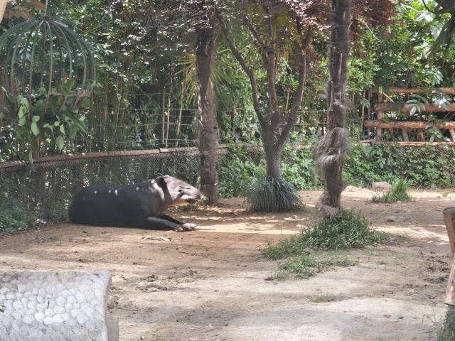 梦核公园旅行图片 1