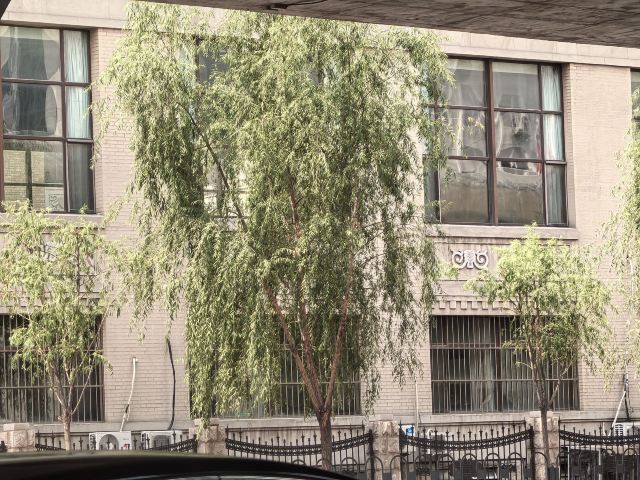 辽宁总站(不对外开放)旅行图片 3