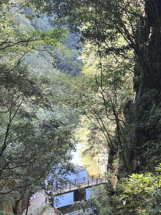 人间弥勒旅行图片 1