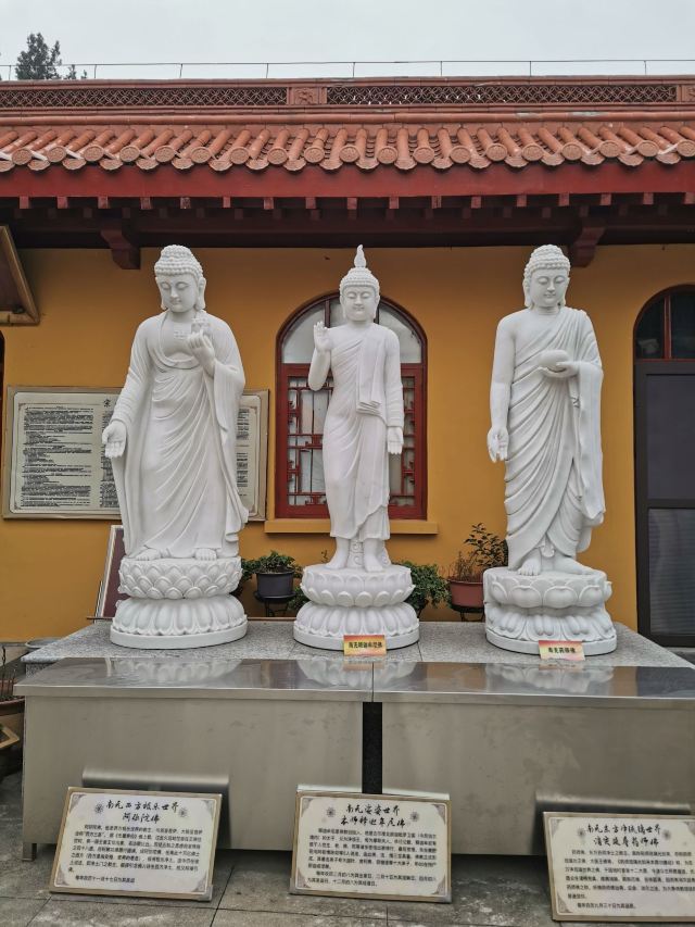 泰山寺旅行图片 13