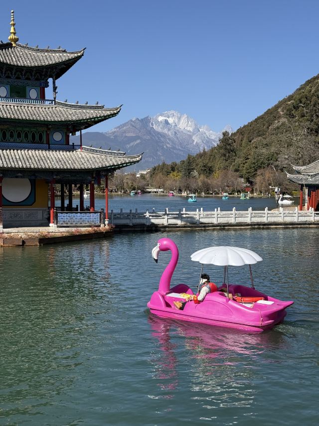 黑龙潭旅行图片 4