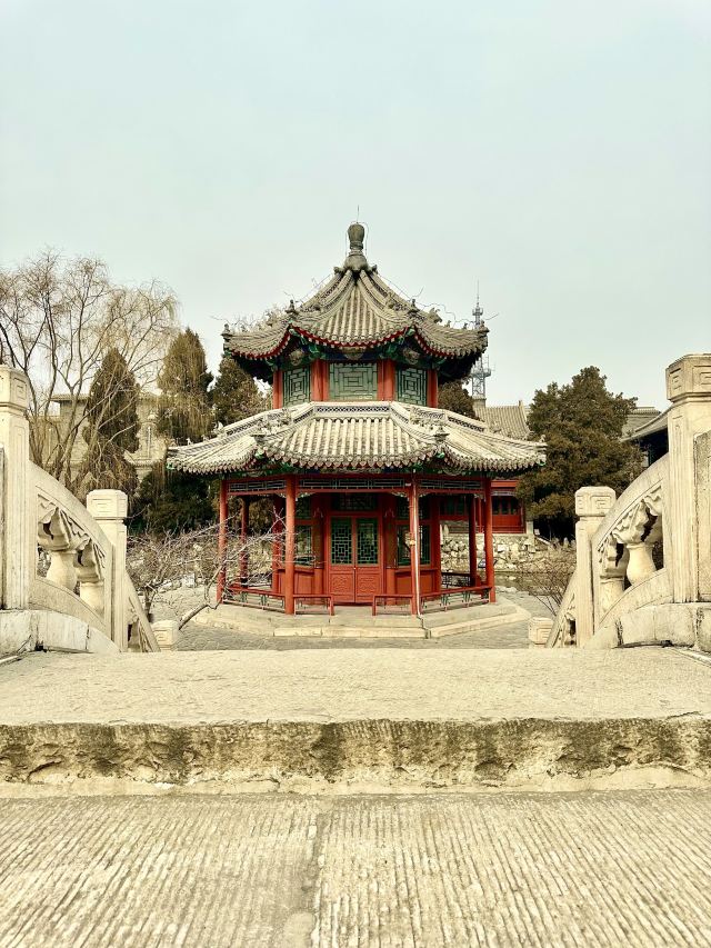 莲池书院博物馆(古莲花池)旅行图片 4