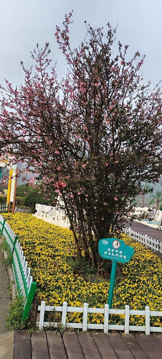 茅山森林世界旅行图片 2