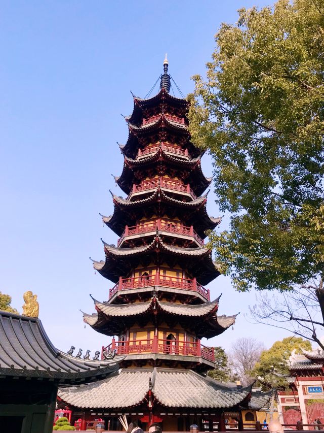 龙华塔旅行图片 2