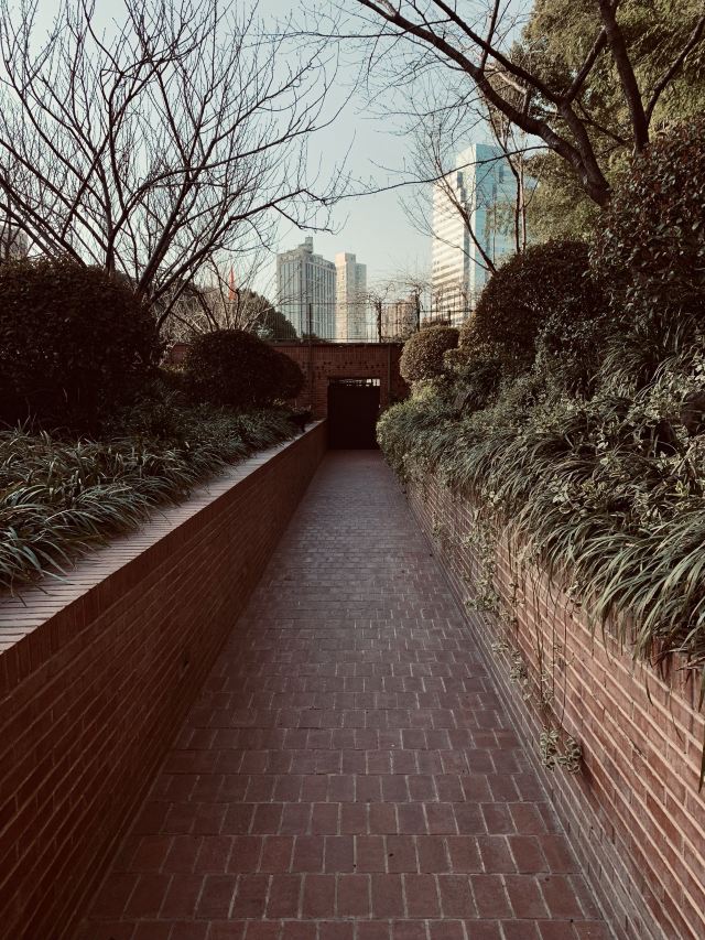 四川北路公园旅行图片 1