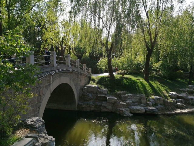 柳荫公园旅行图片 2
