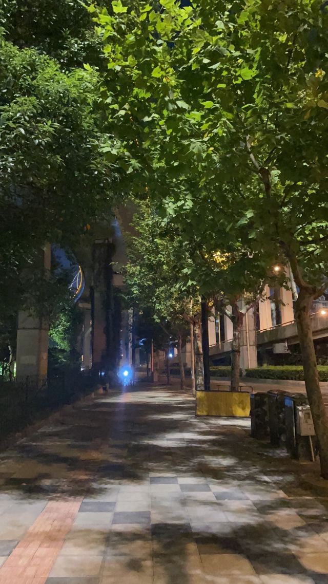 辅德里公园旅行图片 2