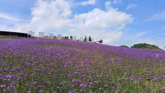 野雞坪村