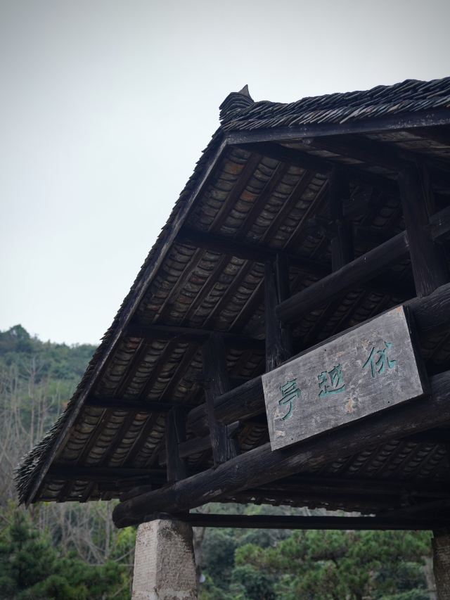 秦汉古道森林公园旅行图片 4