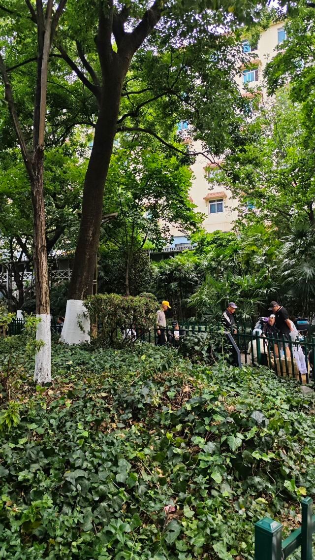 金牛街清真寺旅行图片 10
