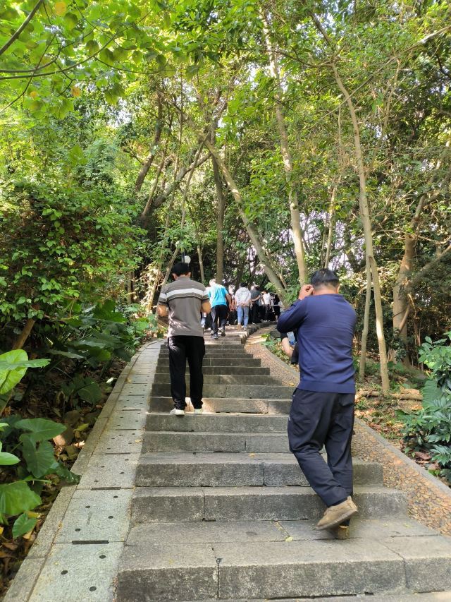 莲花山公园旅行图片 7