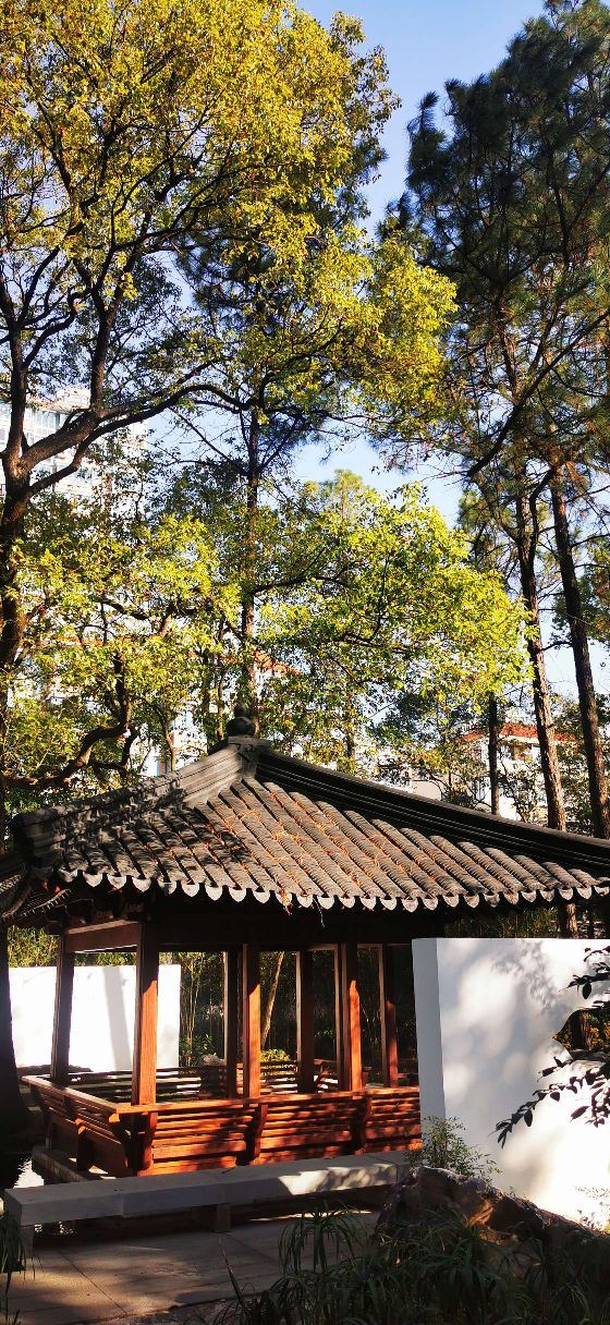 漕溪公园旅行图片 5