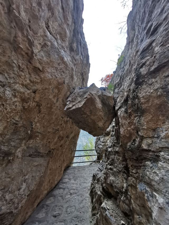 璧山景区旅行图片 14