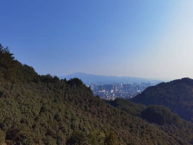 湖南中坡国家森林公园旅行图片 3