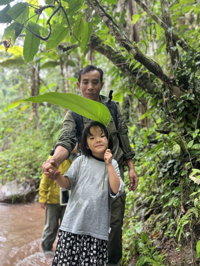 西双版纳纳卡雨林徒步旅行图片 3
