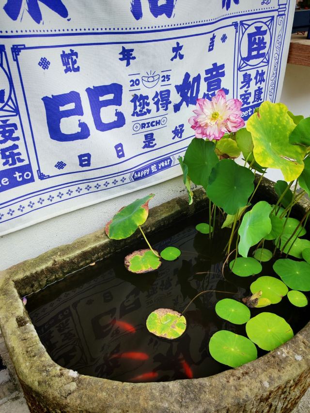 景德镇雕塑瓷厂明青园旅行图片 2