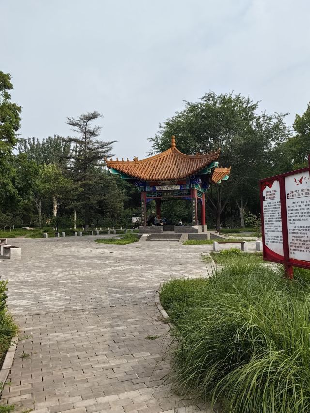 凤凰山公园旅行图片 15