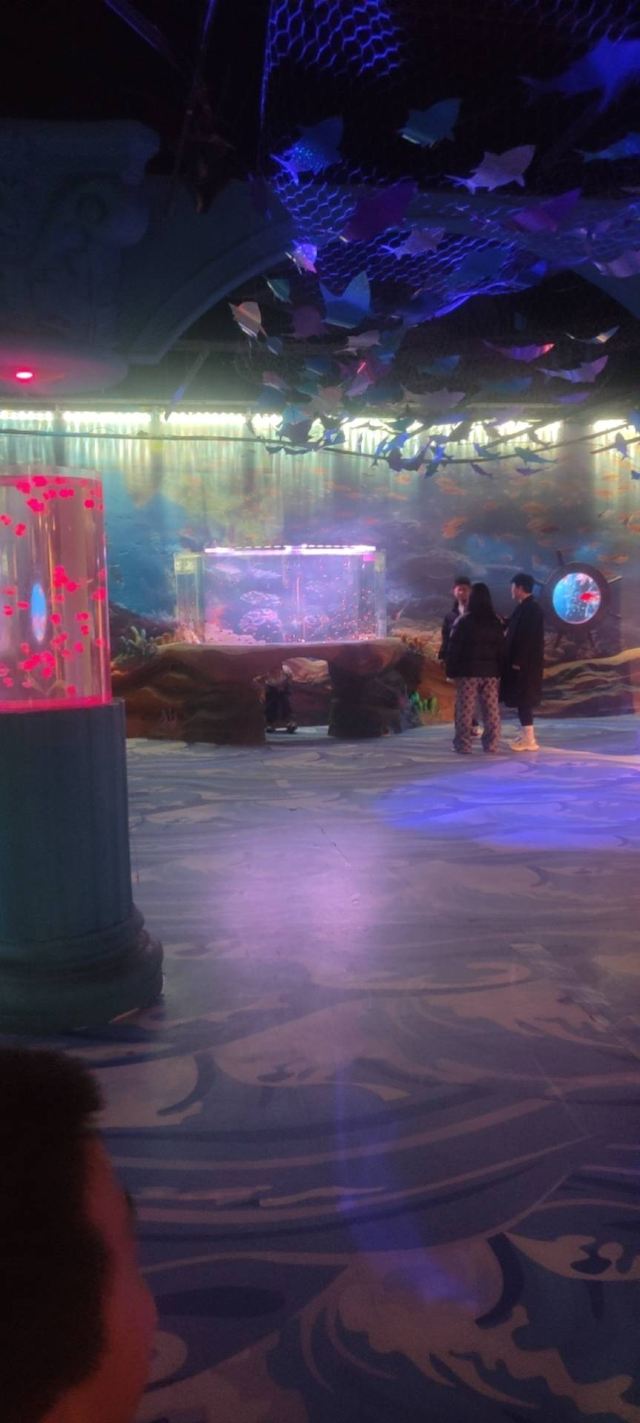 秦皇岛新澳海底世界旅行图片 1