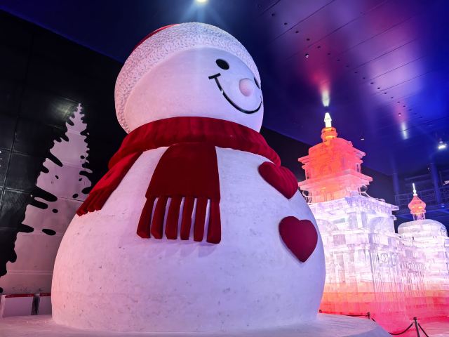 哈尔滨冰雪大世界文创旗舰店旅行图片 2