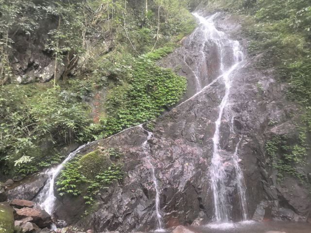 海南热带雨林国家公园五指山景区旅行图片 4
