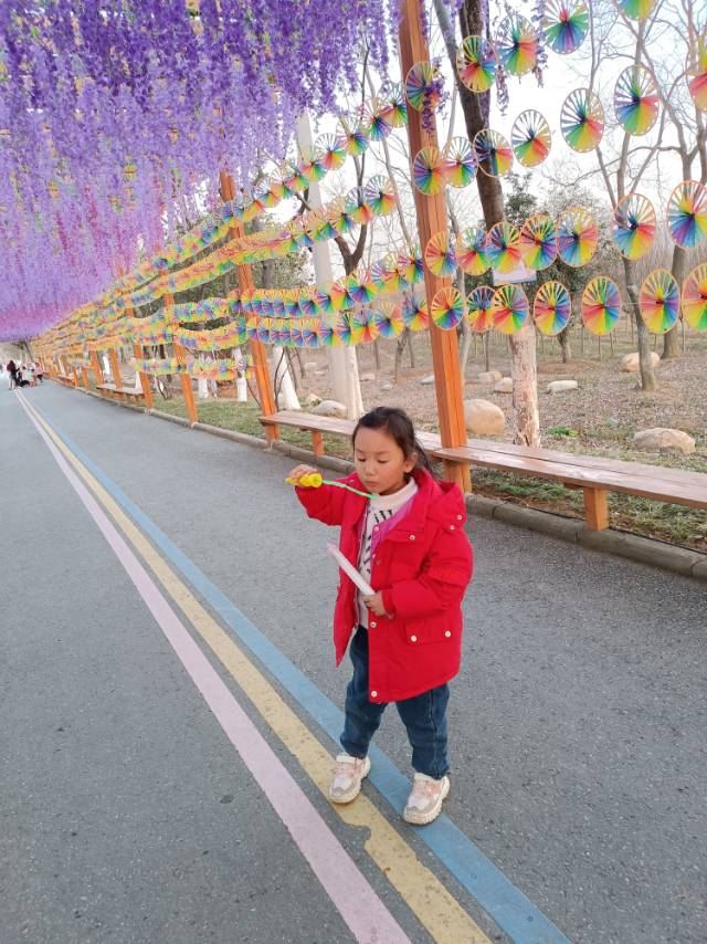 南京森林大世界旅行图片 5