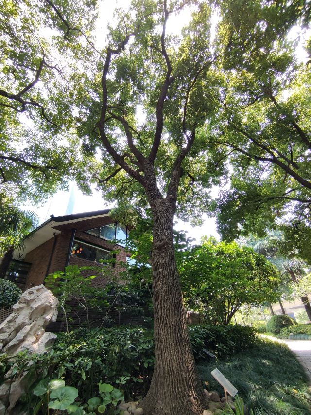 丰盛里·静安寺广场旅行图片 6