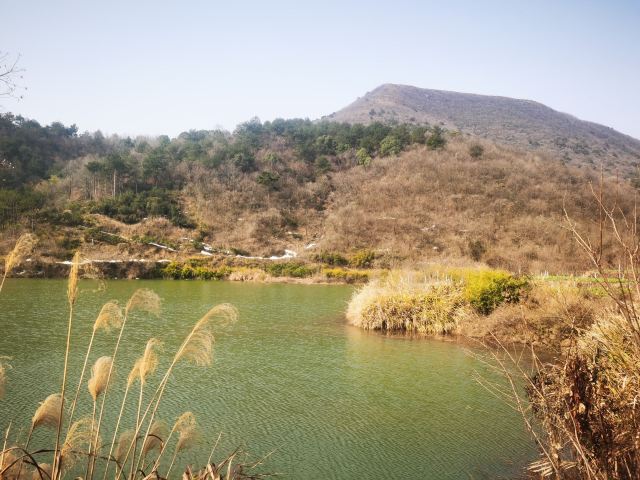 太浮山旅行图片 6