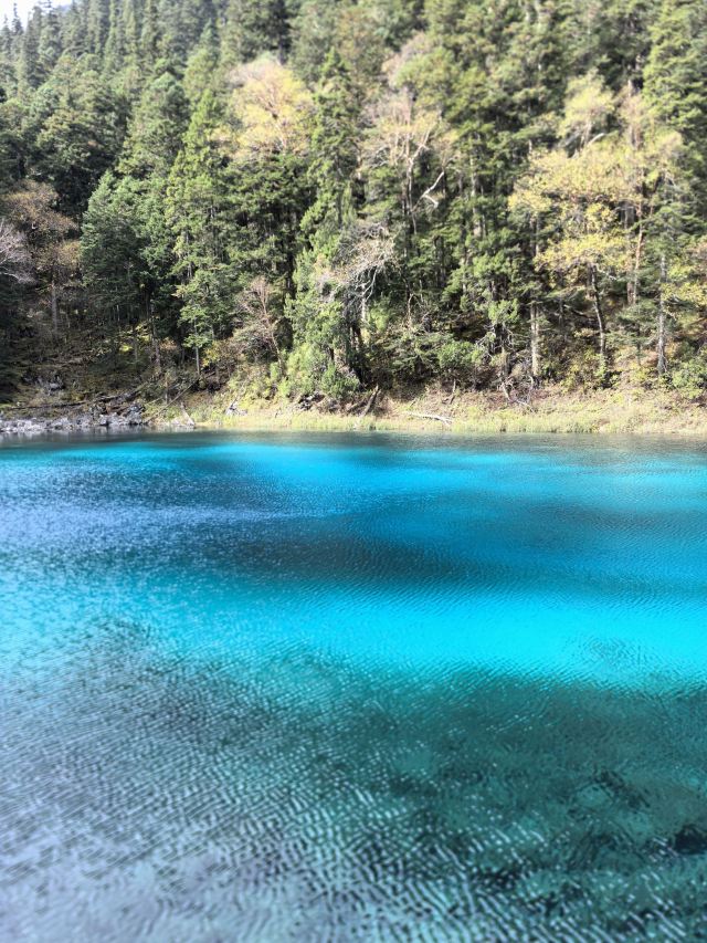 九寨沟景区五彩池观景台旅行图片 3