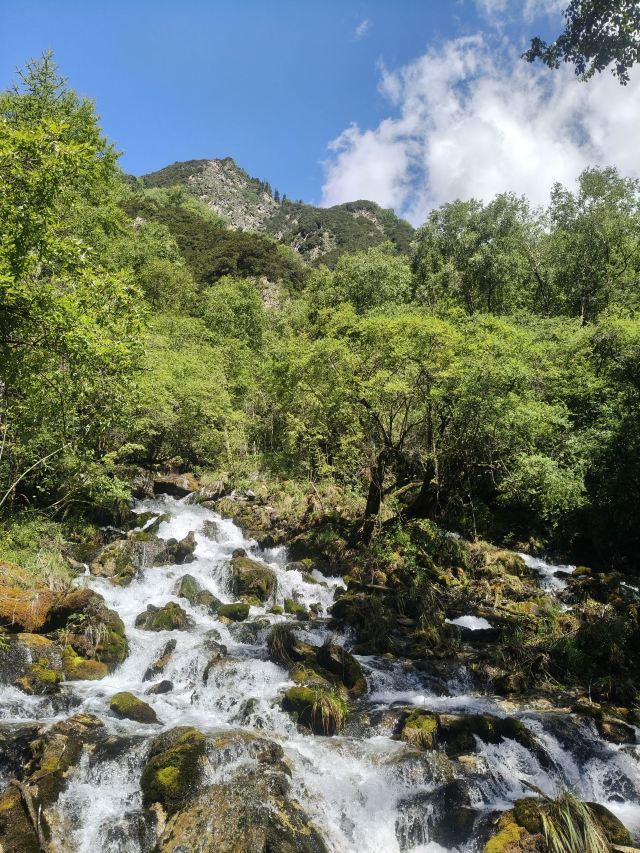 叠溪松坪沟景区旅行图片 2