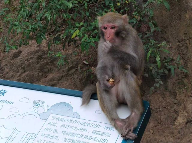 黔灵山公园旅行图片 2