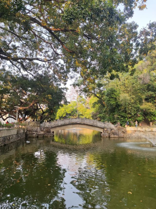 东莞人民公园旅行图片 1