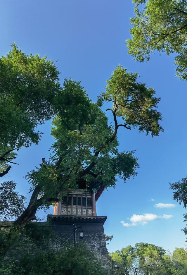 北山公园旅行图片 5