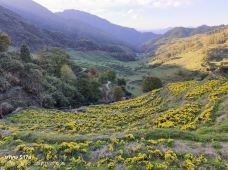 婺源-郭润龙浪迹天涯