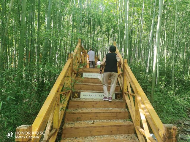 中国·秦岭·竹海旅行图片 5