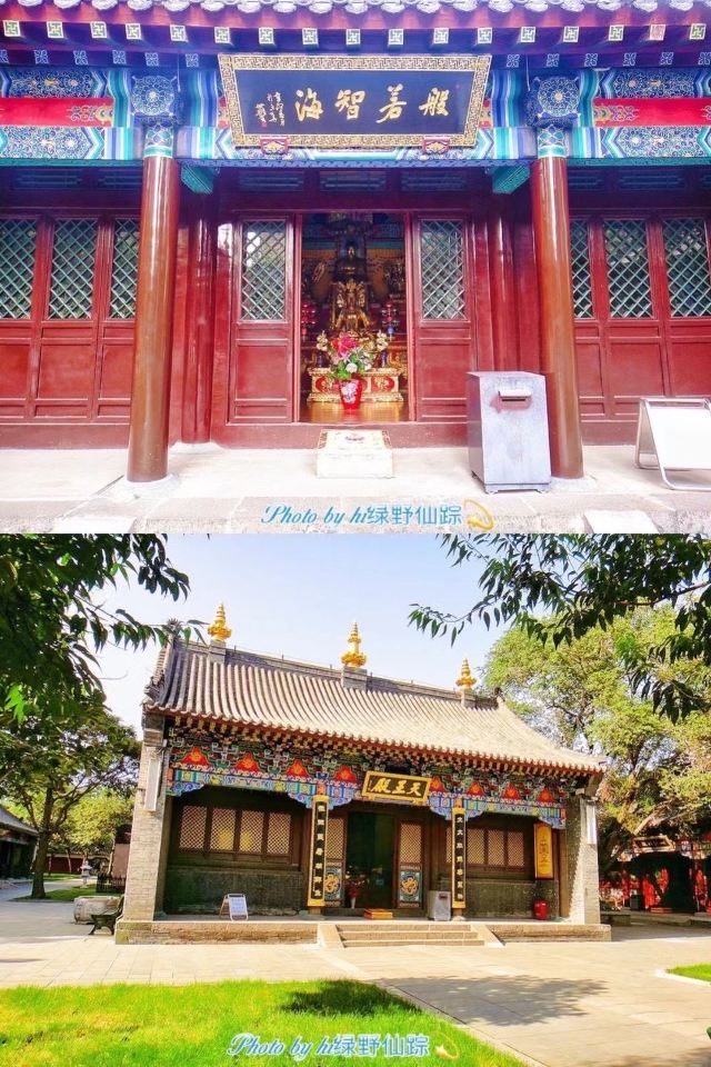 皇姑北塔公园旅行图片 6