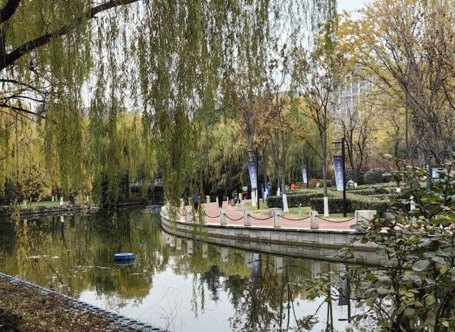 西安城市运动公园旅行图片 3