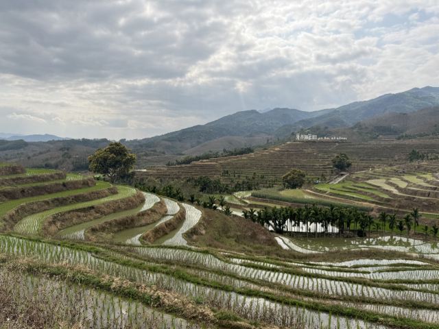 牙胡梯田景区旅行图片